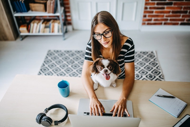 Home Office kann mühsam und anstrengend sein. Tipps für mehr Produktivität (inklusive Video-Botschaft von Mag. Peter Stark)